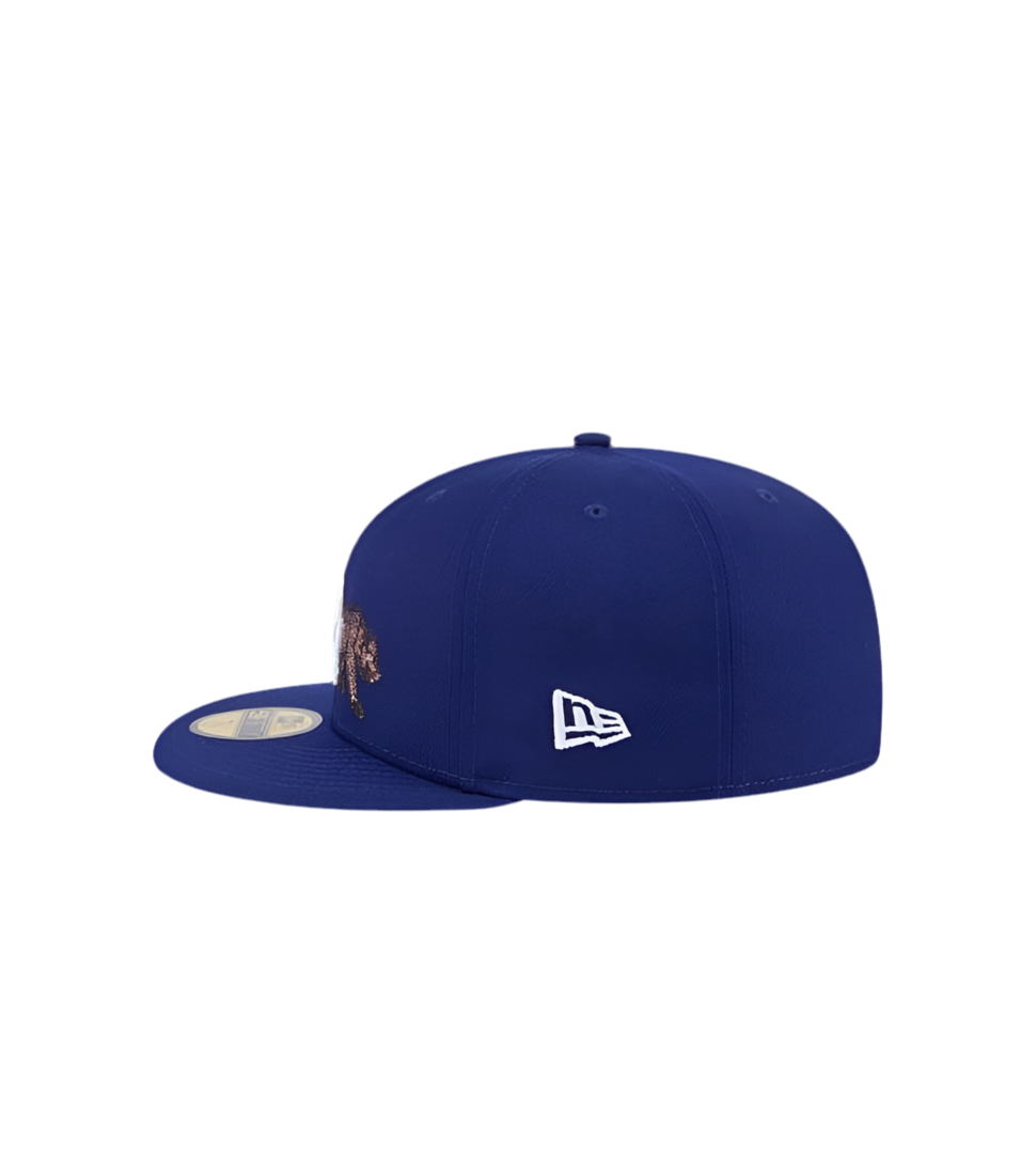 LA NEW Era